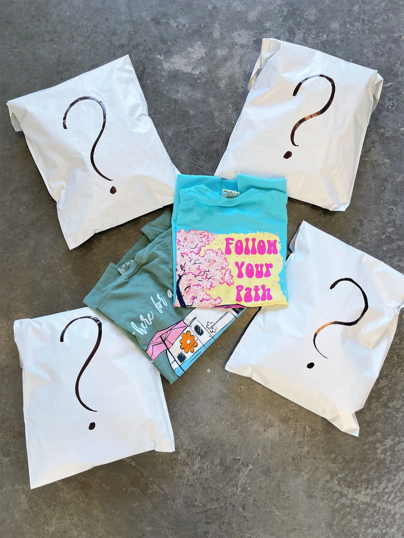 TEN Dollar Boutique & More Short Sleeves S-3X Mystery Grab Bag Of 2 Comfort Colors Shirts 5 TEN Dollar Boutique & More Short Sleeves S-3X Mystery Grab Bag Of 2 Comfort Colors Shirts
