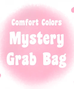 TEN Dollar Boutique & More Short Sleeves S-3X Mystery Grab Bag Of 2 Comfort Colors Shirts